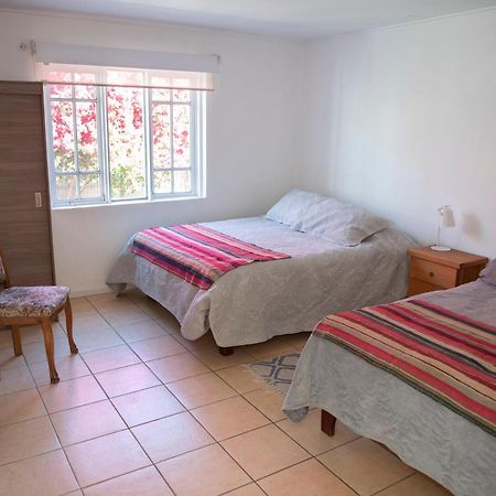 Hostal Casa 95 Vicuna Exterior photo